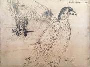 Claude Lorrain, Eagles (mk17)